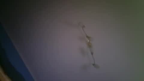 larry009 online show from December 2025 03:00:01 AM