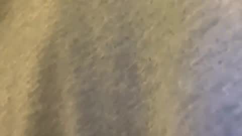 Mexakin online show from March 2026 01:42:01 AM