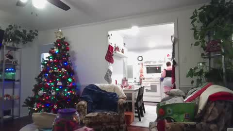 Snapshot of laulauma chatting on December 2024 04:33:02 AM LauLauMa online show from December 2024 04:33:02 AM