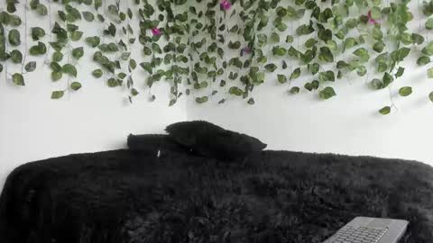 laurensmith9 online show from March 2026 02:17:01 PM