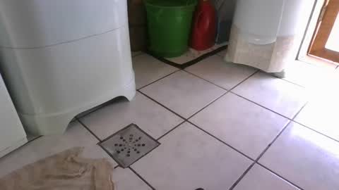 kelly online show from March 2025 06:22:02 PM