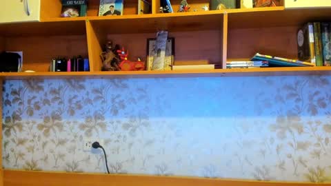 Vladi online show from December 2024 09:17:02 AM