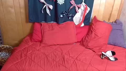 Leesdesires online show from December 2024 12:41:01 PM