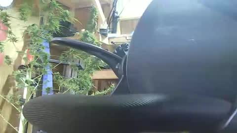 Snapshot of lenghtygirth chatting on September 2025 07:46:02 PM HoleStretcher online show from September 2025 07:46:02 PM