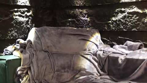 Leo  Diaz online show from November 2025 03:54:01 AM