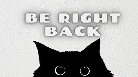 leoguessme online show from February 2026 11:44:02 AM