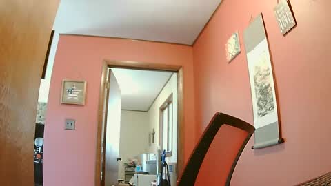 lesgrable67 online show from February 2025 05:09:02 PM