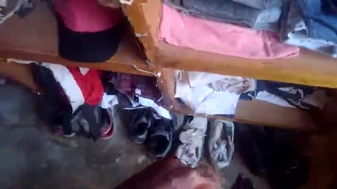 lewiskip online show from November 2025 04:51:01 AM