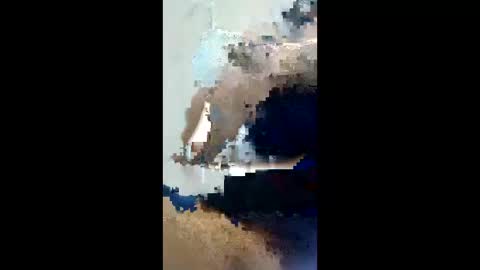 lexboy788181 online show from April 2026 05:52:01 AM