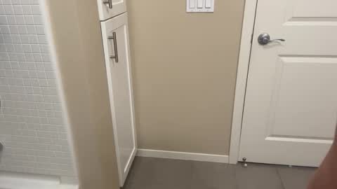 Lex North online show from March 2026 08:25:01 PM