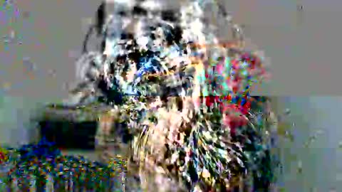 lolita online show from December 2024 05:04:02 PM