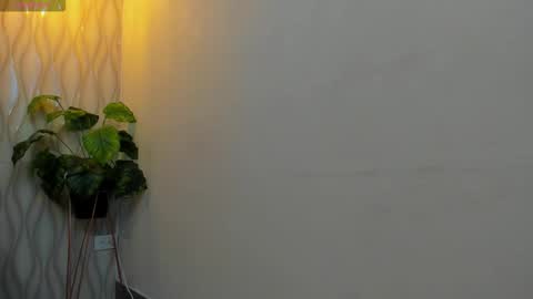 LIAM KLEIN online show from February 2026 11:05:02 AM