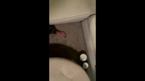 liamleggings online show from December 2025 02:38:01 AM