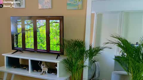 Tell me Liam online show from December 2025 09:32:02 PM