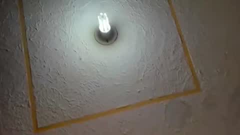 lianfox_ online show from July 2026 12:30:02 PM