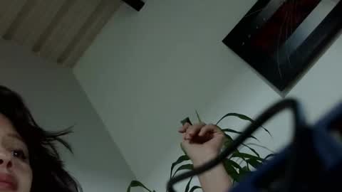 liarysmaag17 online show from December 2024 03:21:02 AM