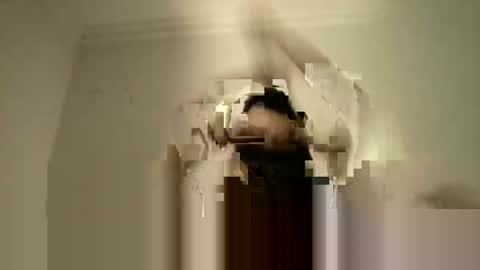 LPBT online show from September 2025 09:15:01 PM