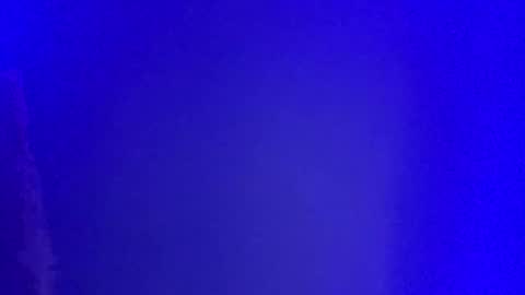 LickYourYoni online show from January 2025 02:52:02 PM