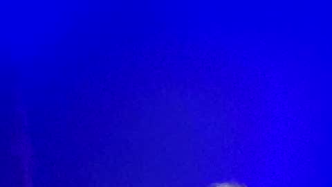 LickYourYoni online show from January 2025 02:21:02 PM