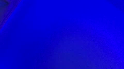 LickYourYoni online show from January 2025 01:34:01 PM