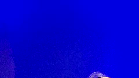 LickYourYoni online show from February 2025 03:08:01 PM