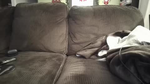 lifer77 online show from December 2024 05:26:01 AM