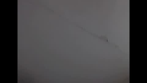 Lihan online show from February 2025 10:47:02 AM