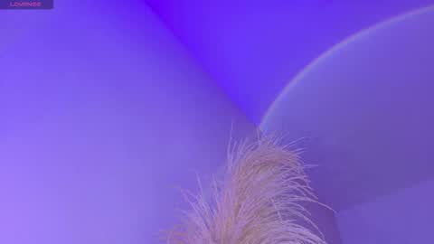 Liiam Luna online show from November 2025 09:09:01 AM