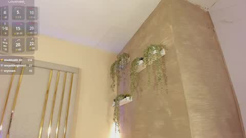 liincostelloo online show from February 2025 02:33:02 AM