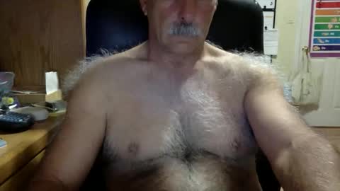 likefhot online show from February 2026 02:11:02 PM