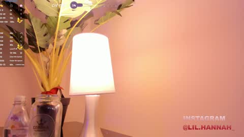 Snapshot of lil_hanna18 chatting on December 2024 02:50:02 PM Hanna online show from December 2024 02:50:02 PM