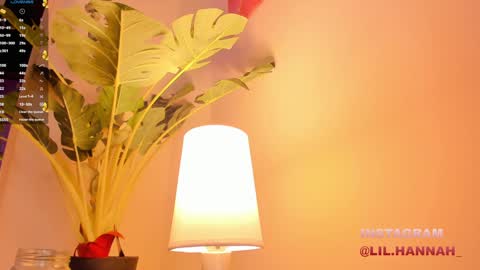 Snapshot of lil_hanna18 chatting on December 2024 03:01:01 PM Hanna online show from December 2024 03:01:01 PM