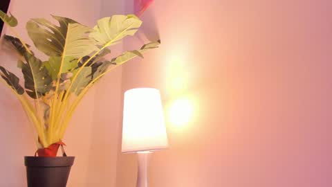 Snapshot of lil_hanna18 chatting on January 2025 11:00:02 AM Hanna online show from January 2025 11:00:02 AM