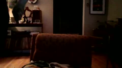 Snapshot of lildeer1980 chatting on January 2025 08:16:02 AM lildeer1980 online show from January 2025 08:16:02 AM