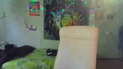 Lil online show from March 2026 02:59:01 AM