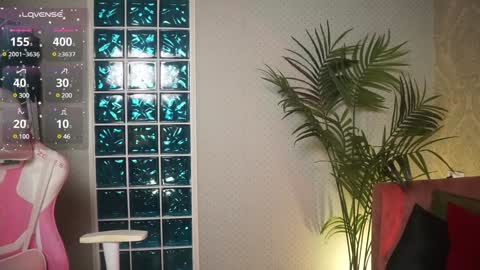 Lili online show from December 2024 10:28:01 AM