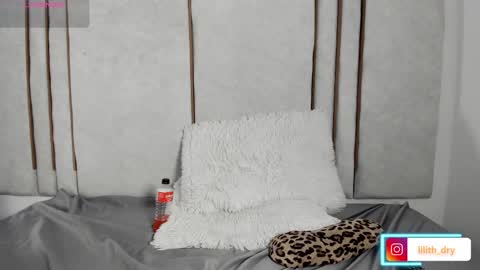 Snapshot of lilithdry chatting on March 2026 11:48:01 PM Lilith online show from March 2026 11:48:01 PM