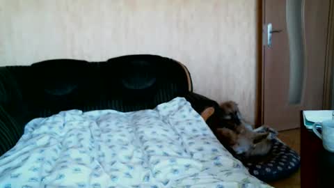 Lenkaa777 online show from April 2026 12:28:01 PM