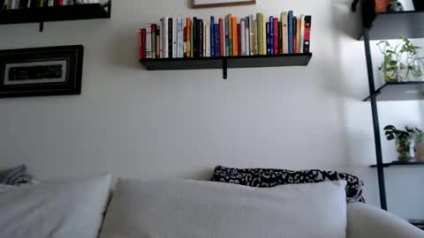 Jay  please help me reach 50 thumbs up online show from February 2026 06:42:01 PM