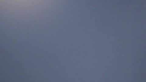 lillie_berry online show from April 2026 08:18:02 AM