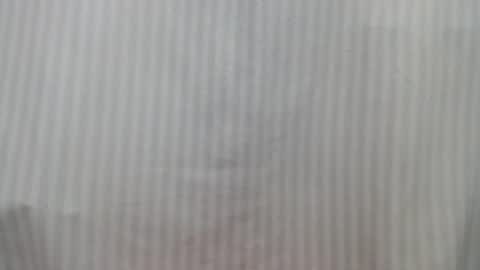 Snapshot of lillkit chatting on February 2025 11:36:01 PM Lilu online show from February 2025 11:36:01 PM