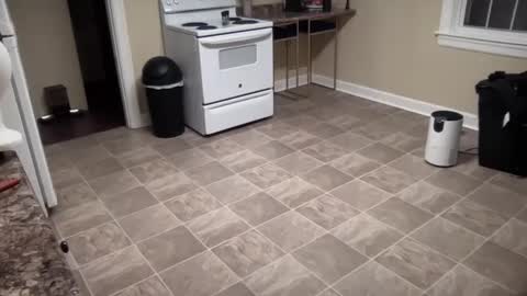 lilly_adams88 online show from February 2025 01:00:01 AM