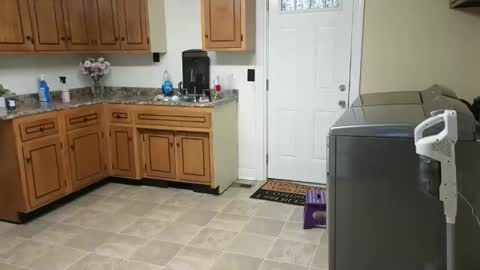 lilly_adams88 online show from February 2026 11:55:01 PM