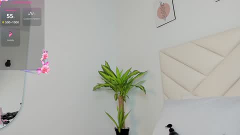   online show from December 2024 07:03:01 PM