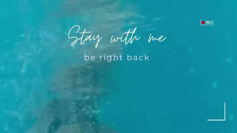 Lily online show from March 2026 07:38:01 AM