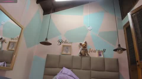 Snapshot of lilybaudyn_ chatting on February 2025 11:18:02 AM Lily online show from February 2025 11:18:02 AM