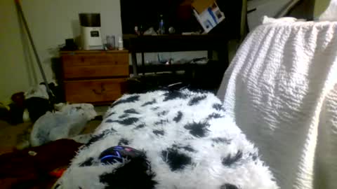 Snapshot of lincolnlongdick chatting on December 2024 05:13:01 PM Richie Rich online show from December 2024 05:13:01 PM