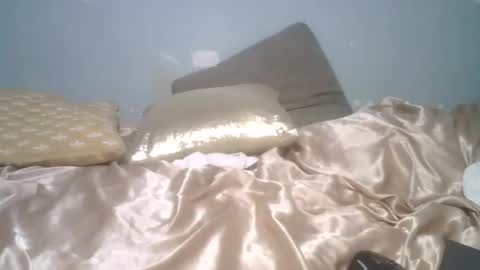 Snapshot of lincolnlongdick chatting on March 2026 07:19:01 PM Richie Rich online show from March 2026 07:19:01 PM