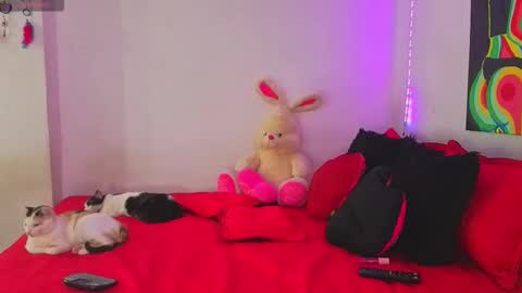 linda_rose28 online show from September 2025 02:07:02 PM