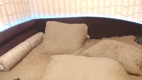 LIpsAddiction online show from October 2025 12:38:01 PM